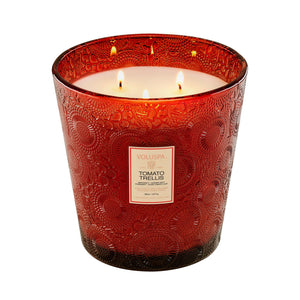 VOLUSPA Tomato Trellis Boxed 3 Wick Hearth Candle