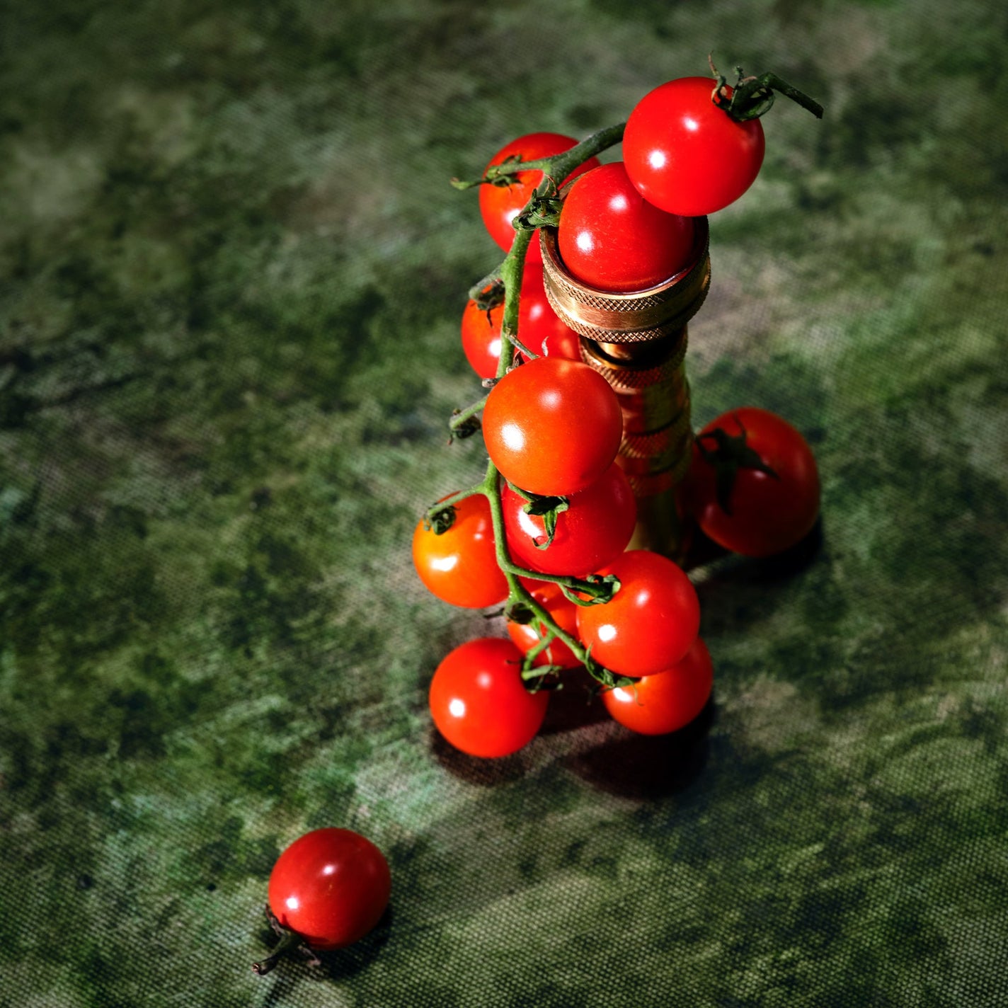 VOLUSPA Tomato Trellis Ceramic Luxe Classic Candle