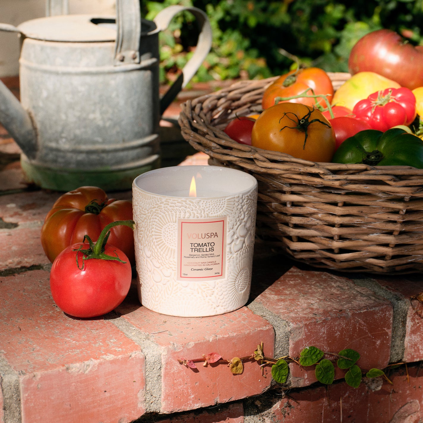 VOLUSPA Tomato Trellis Ceramic Luxe Classic Candle