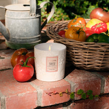 VOLUSPA Tomato Trellis Ceramic Luxe Classic Candle