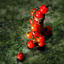 VOLUSPA Tomato Trellis Diffuser