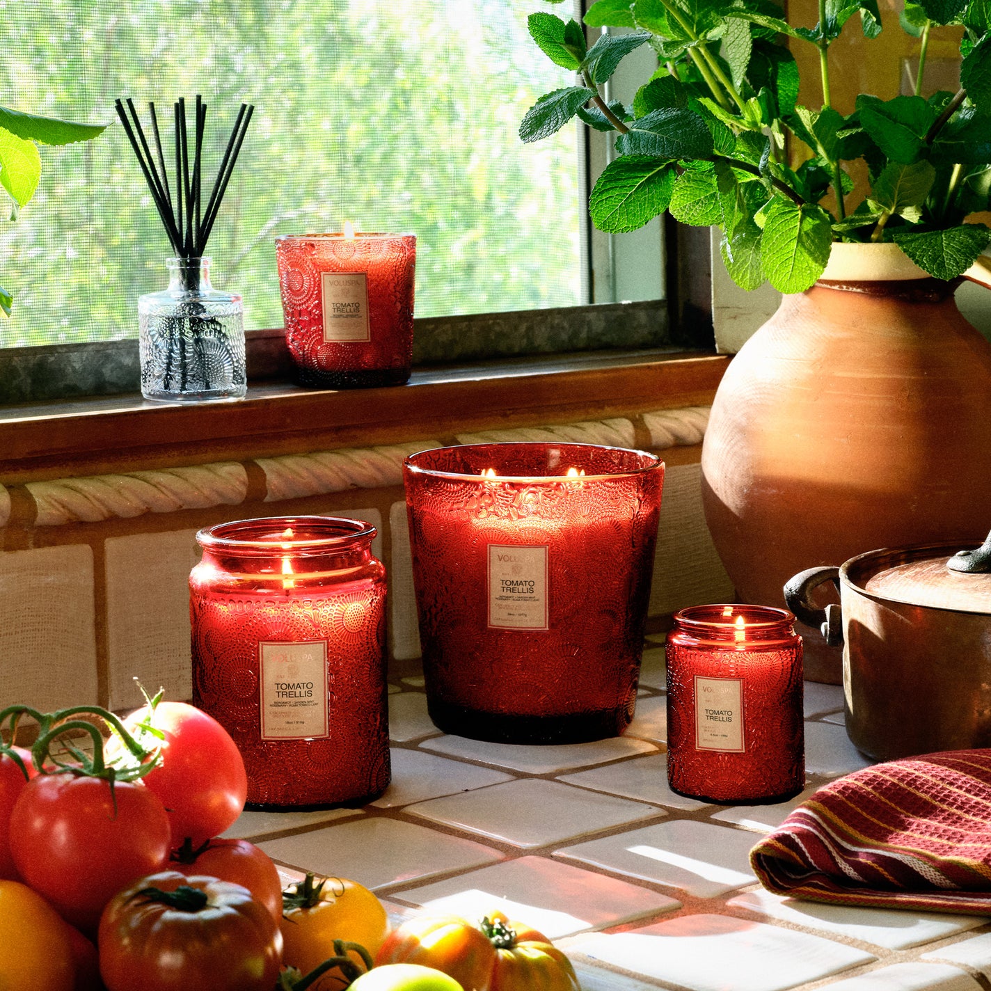 VOLUSPA Tomato Trellis Diffuser