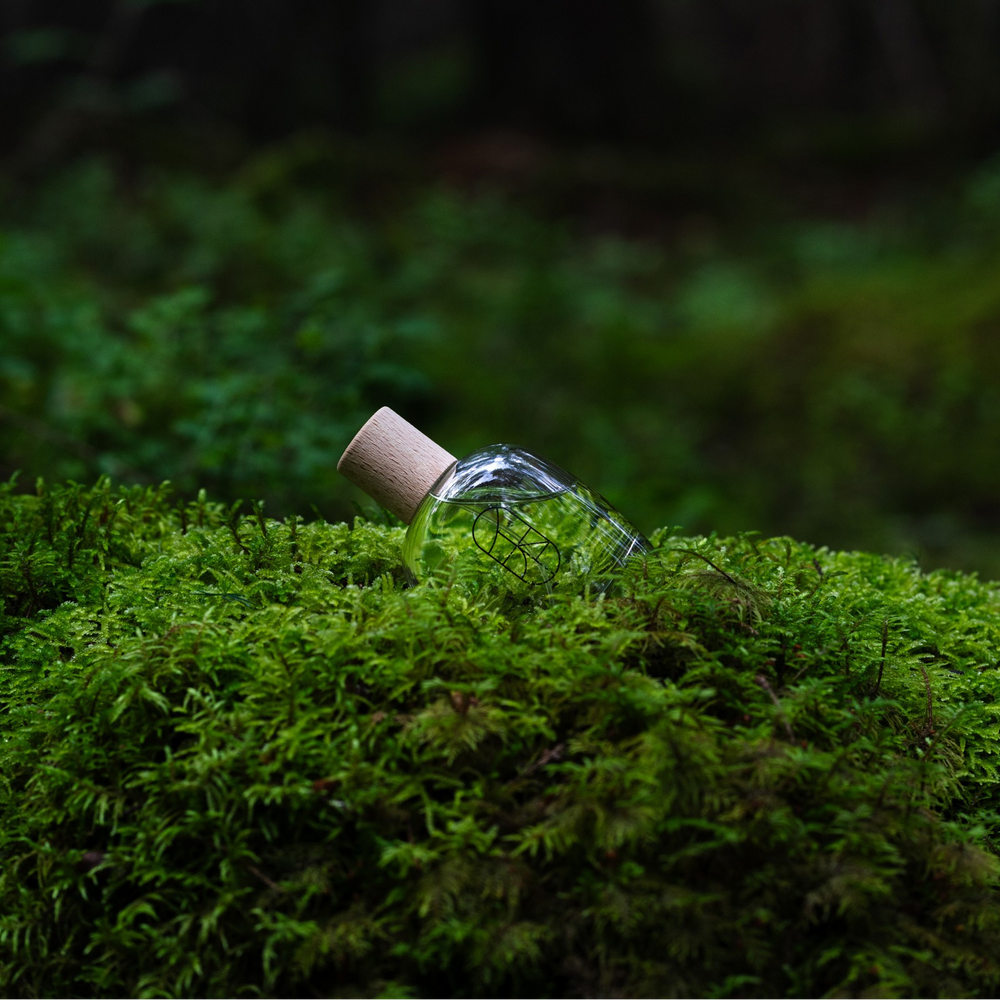 WA:IT EN Eau de Parfum