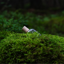 WA:IT EN Eau de Parfum