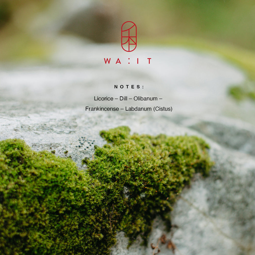 WA:IT EN Eau de Parfum