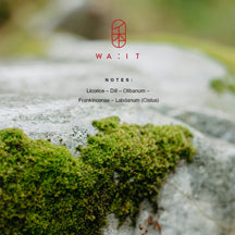 WA:IT EN Eau de Parfum