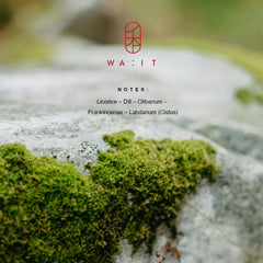 WA:IT EN Eau de Parfum