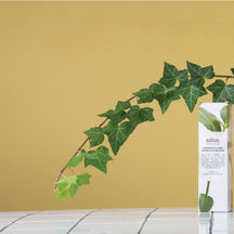 Salus Lemongrass + Lime Botanical Room Spray