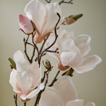 Thymes Magnolia Willow Hand Wash Refill