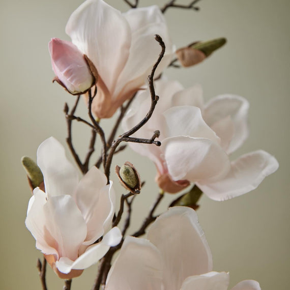 Thymes Magnolia Willow Hand Wash Refill