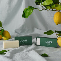 Laboratory Perfumes Amber Soap