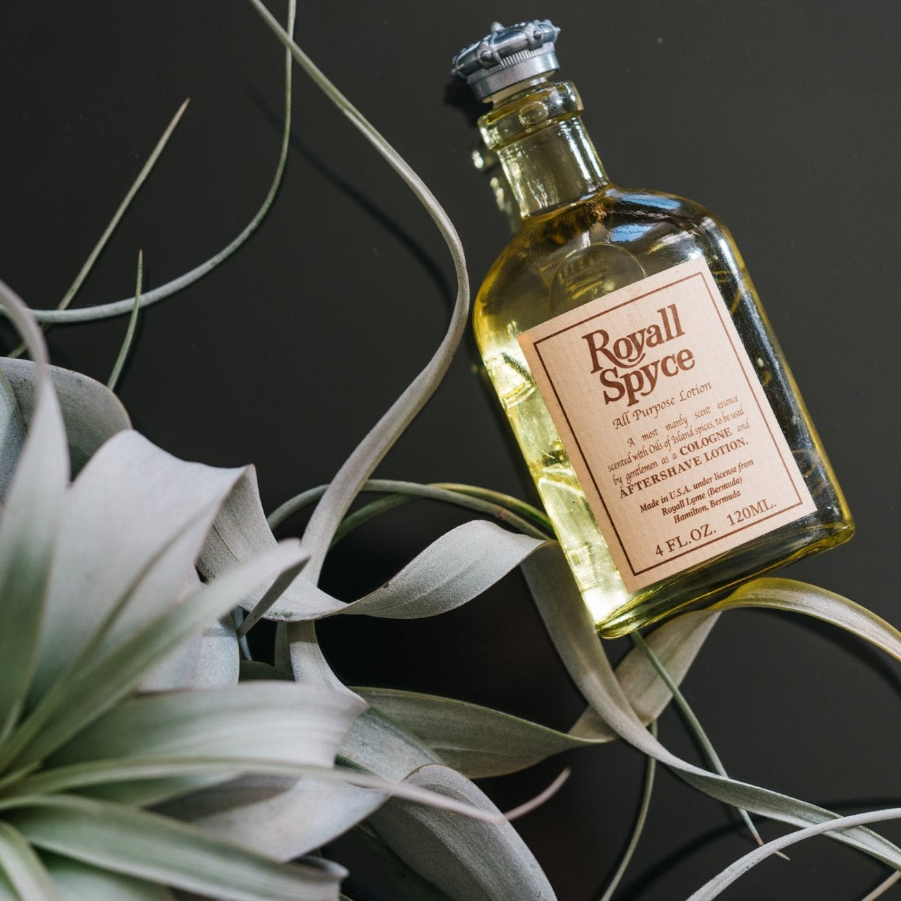 Sample Vial - Royall Lyme Royall Spyce Cologne