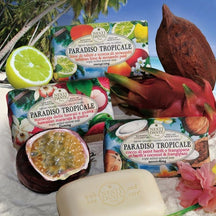 Nesti Dante St Barths Coconut & Frangipani