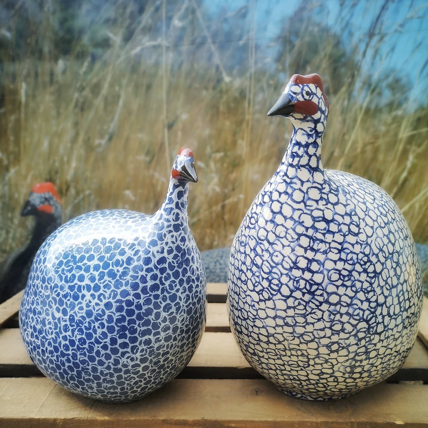 Pintade (Guinea Fowl) Medium - Blue
