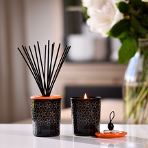 Esteban Neroli Diffuser Refill + Reeds