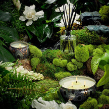 VOLUSPA Yashioka Gardenia Decorative Candle