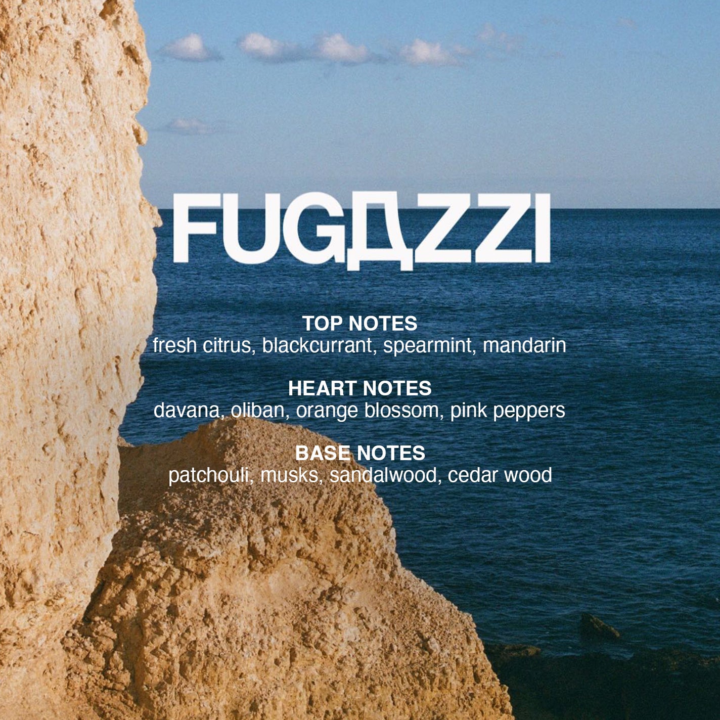 Fugazzi Laundry Detergent
