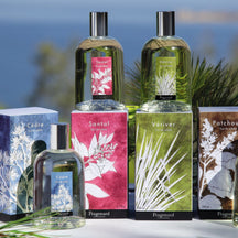 Fragonard Vetiver Eau de Toilette
