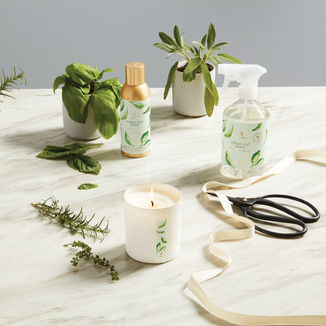 Thymes Fresh Cut Basil Boxed Candle