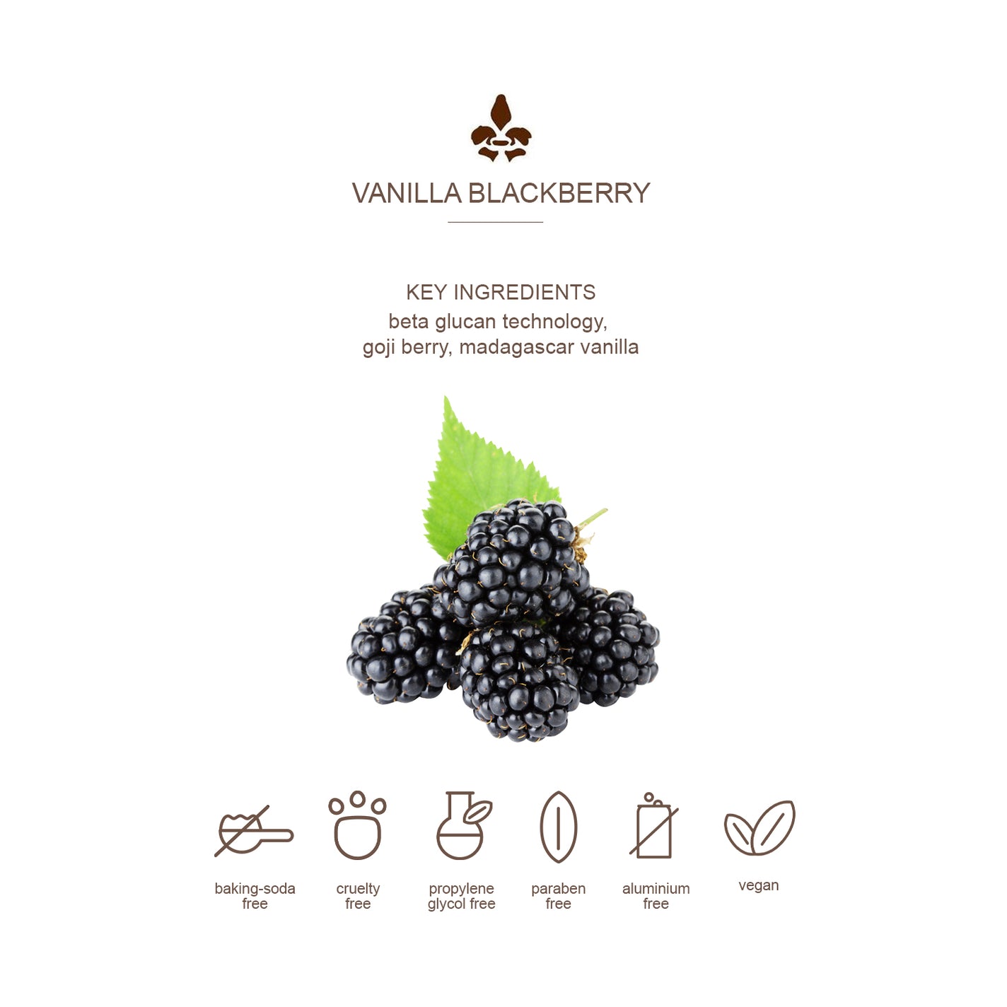 Lavanila Vanilla Blackberry Deodorant