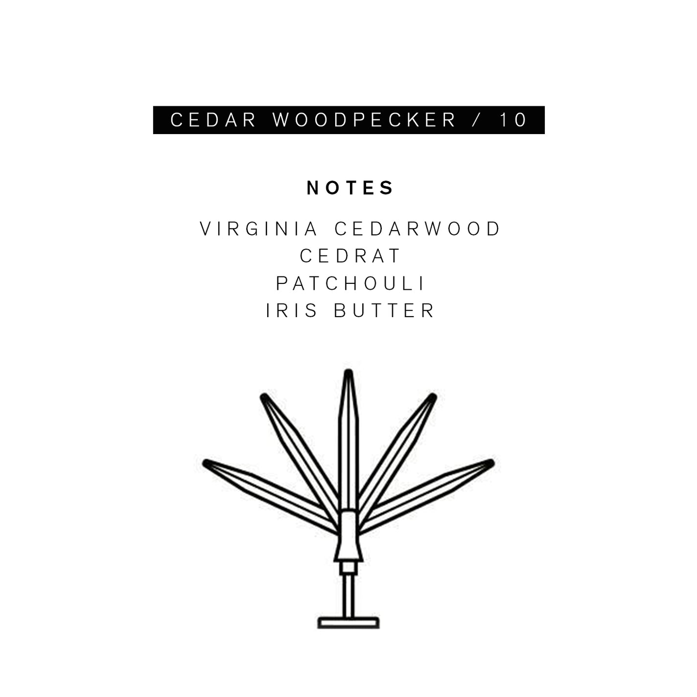 Sample Vial - Parle Moi Cedar Woodpecker / 10 Eau de Parfum