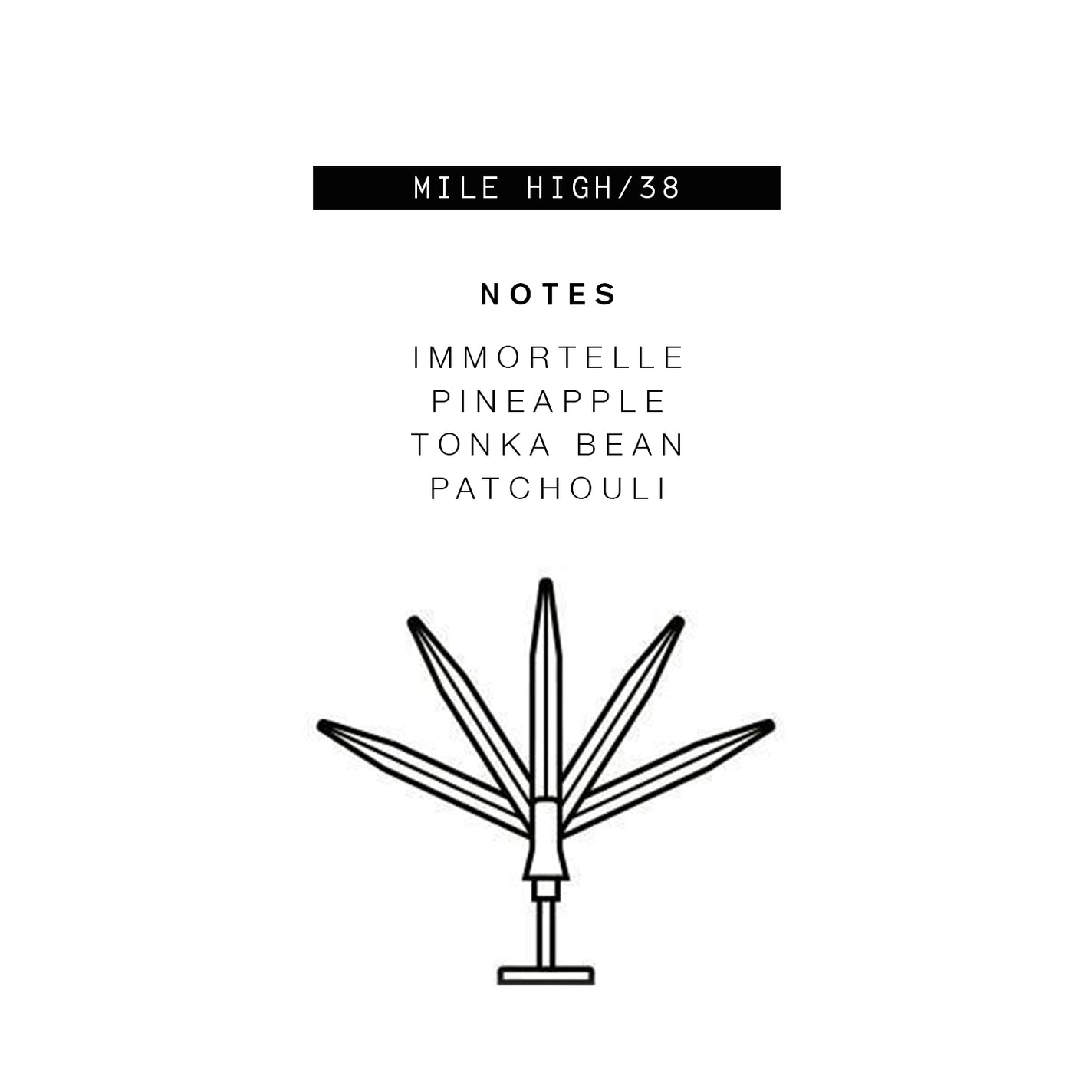 Parle Moi Mile High / 38 Eau de Parfum - 50ml