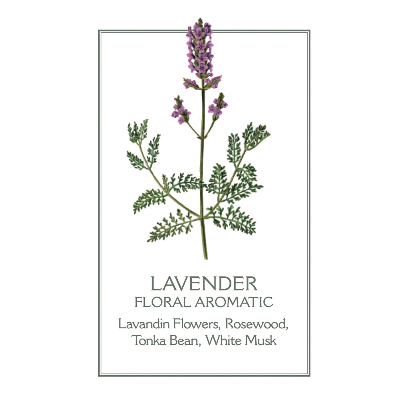 Panier des Sens Lavender Body Lotion