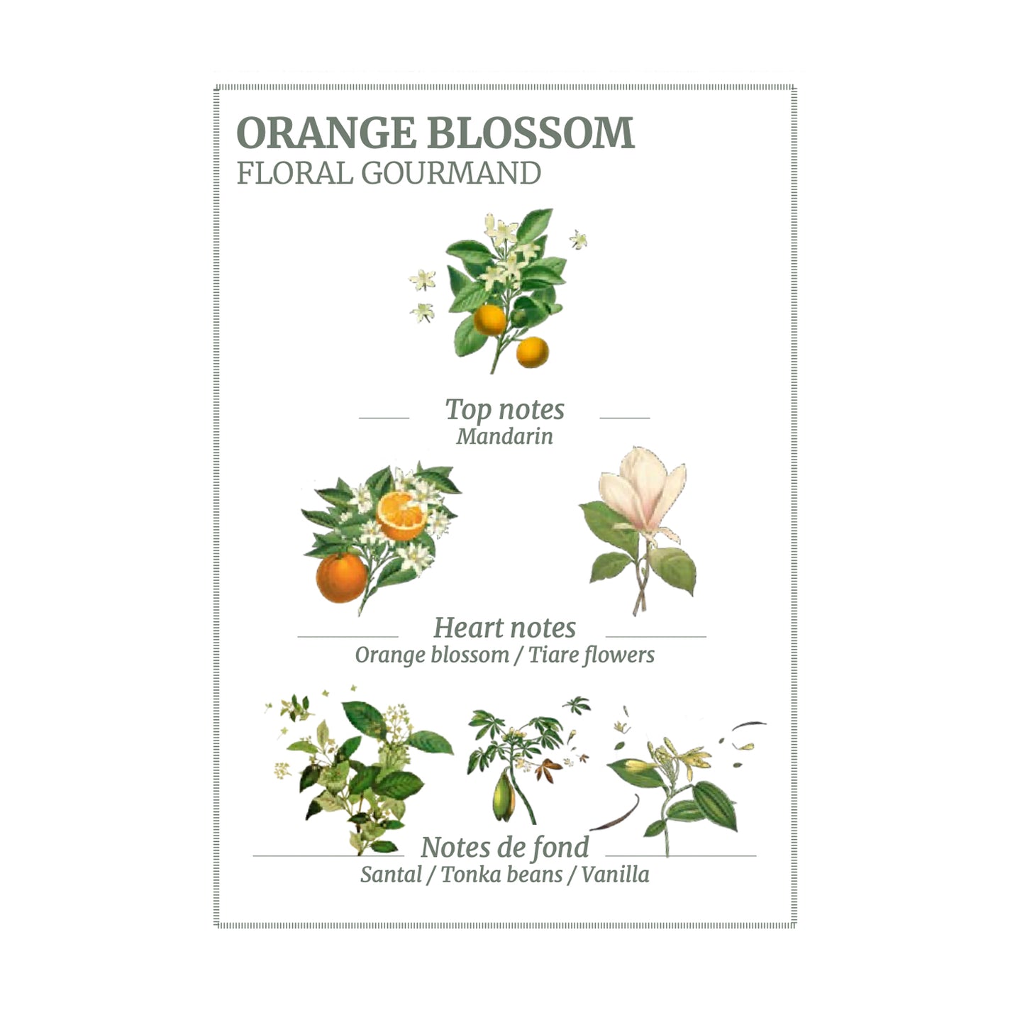 Panier des Sens Orange Blossom Hand Cream - 75ml