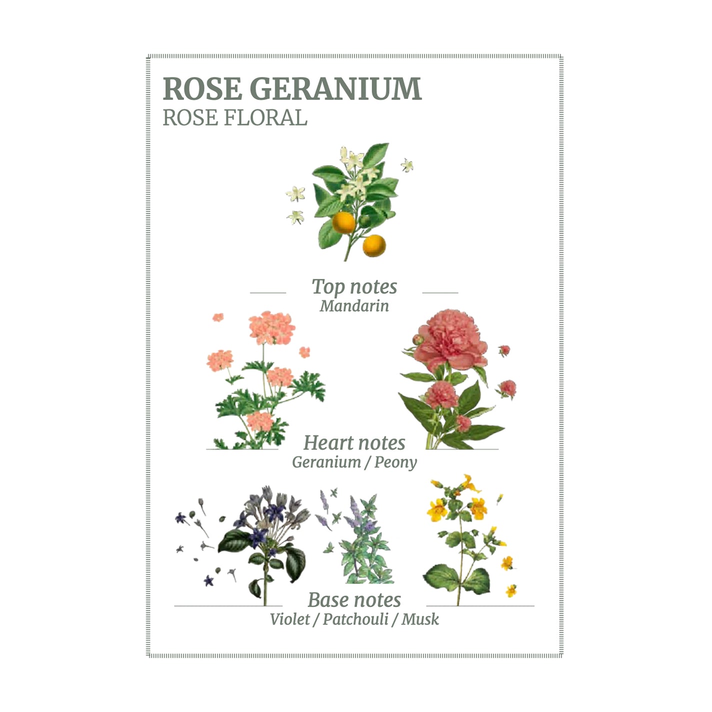 Panier des Sens Rose Geranium Marseille Liquid Soap