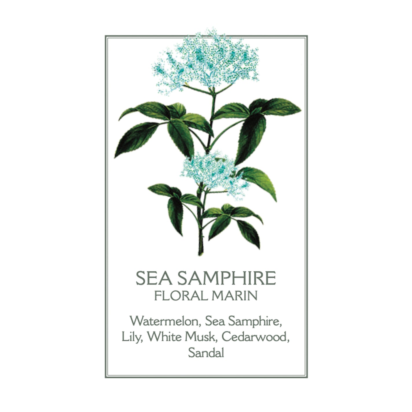 Panier des Sens Sea Samphire Perfumed Soap