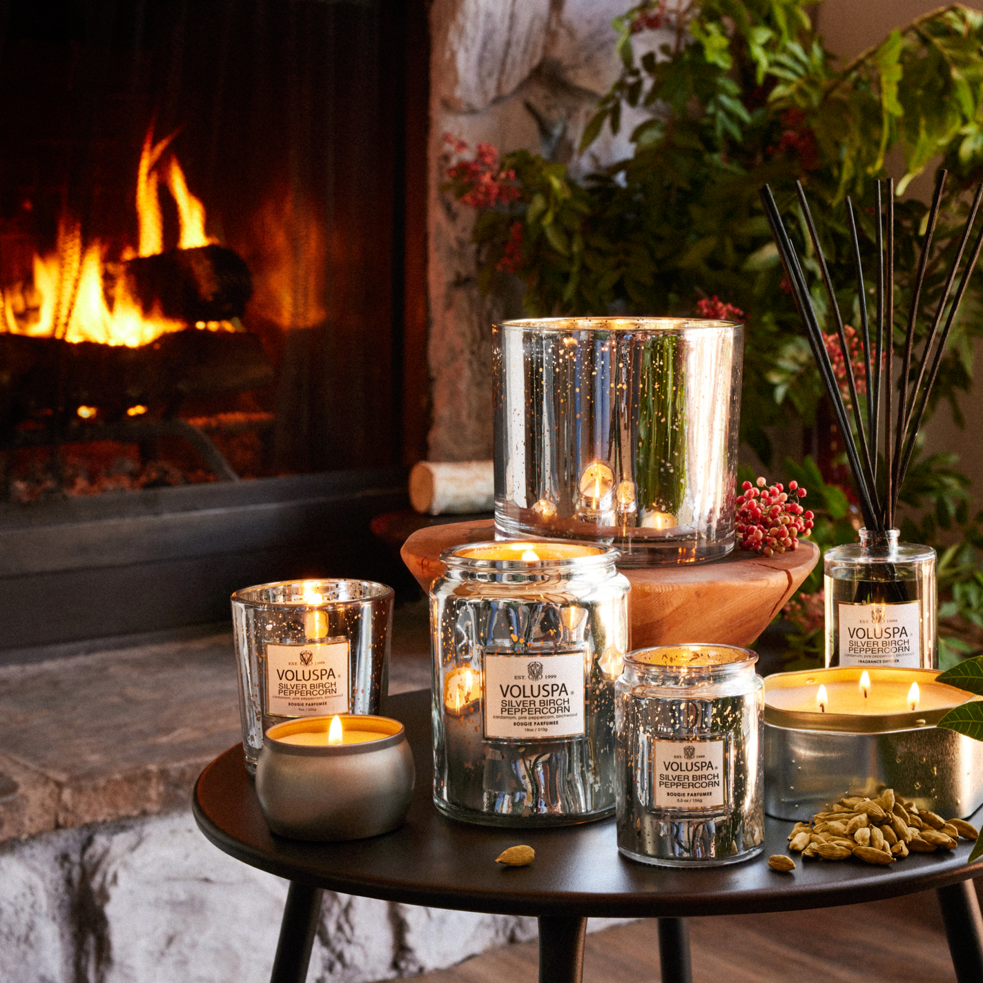 VOLUSPA Silver Birch Peppercorn Grande Candle