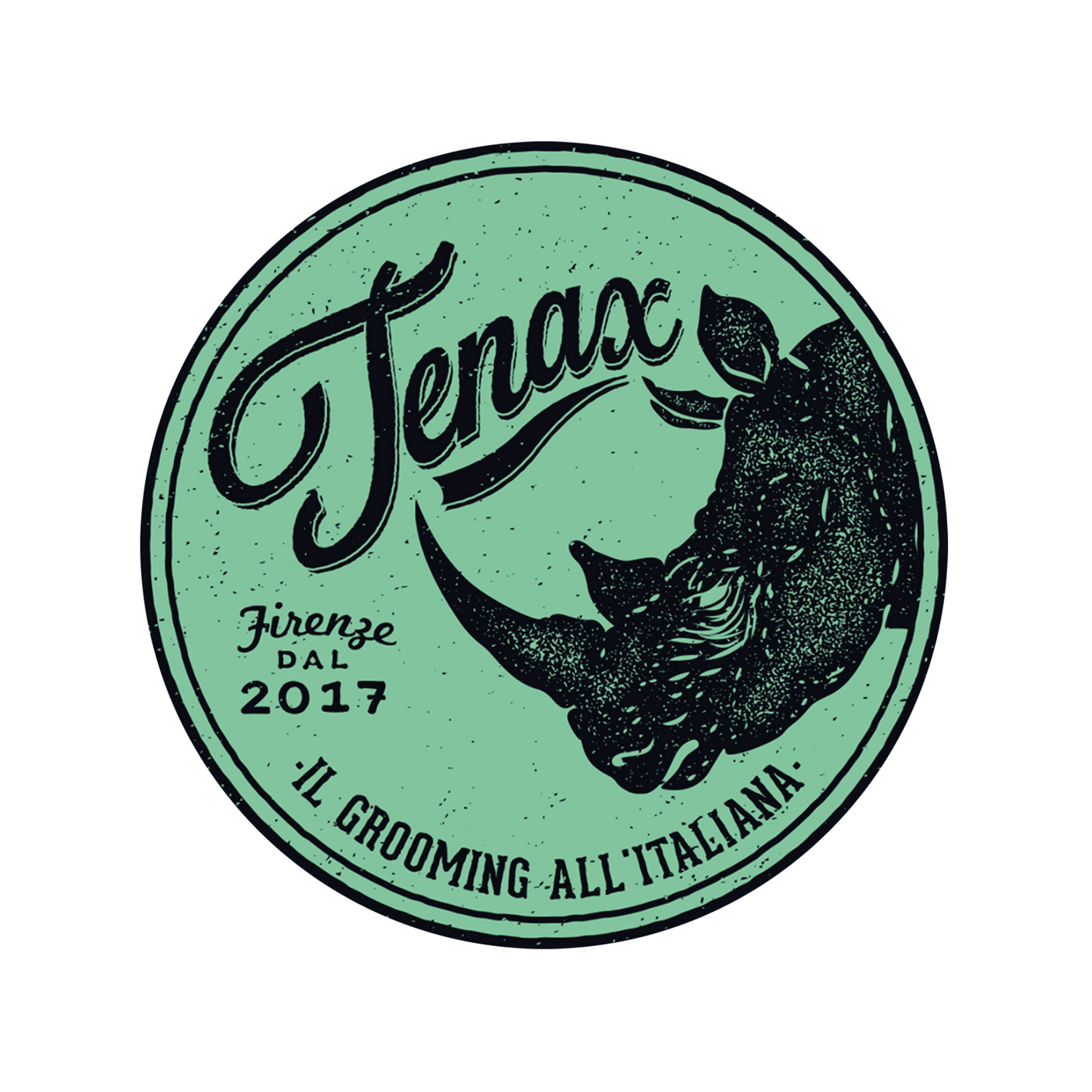 Tenax Pomade - Total Hold (Green Tin)