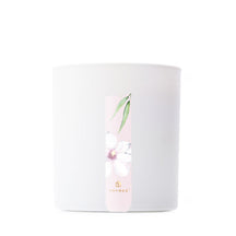 Thymes Magnolia Willow Boxed Candle