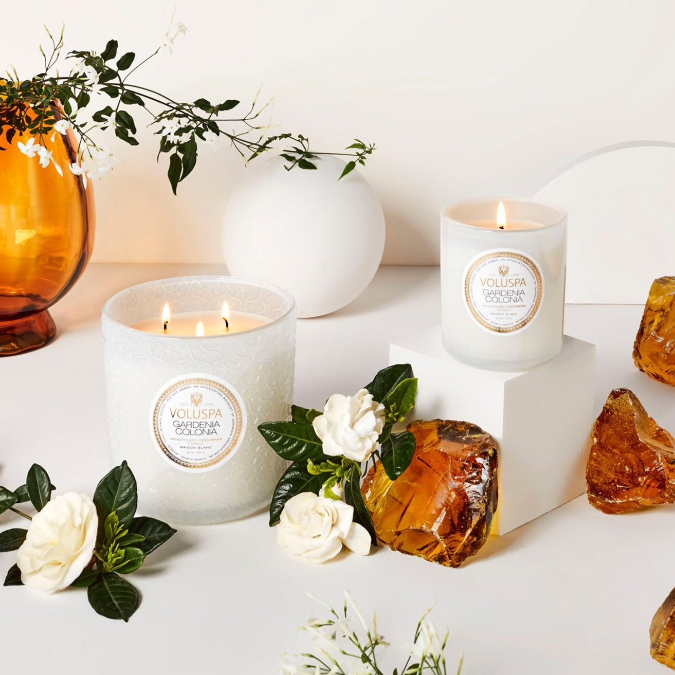 VOLUSPA Gardenia Colonia Classic Boxed Candle
