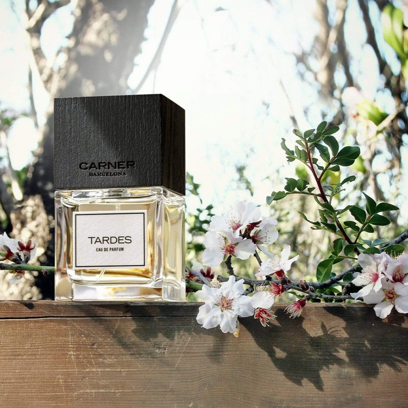 CARNER BARCELONA Tardes Eau de Parfum - 50ml: Official Stockist
