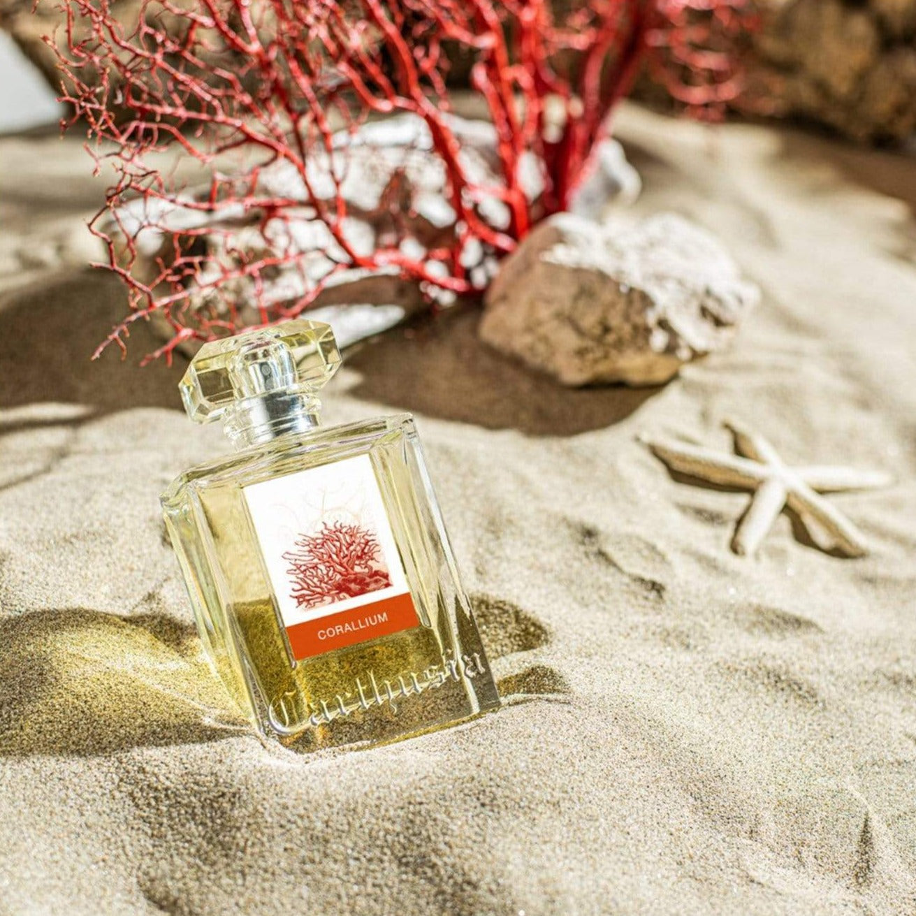 CARTHUSIA Corallium Eau de Parfum - 50ml: Official Stockist