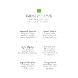 CARTHUSIA Essence of The Park Eau de Parfum - 100ml