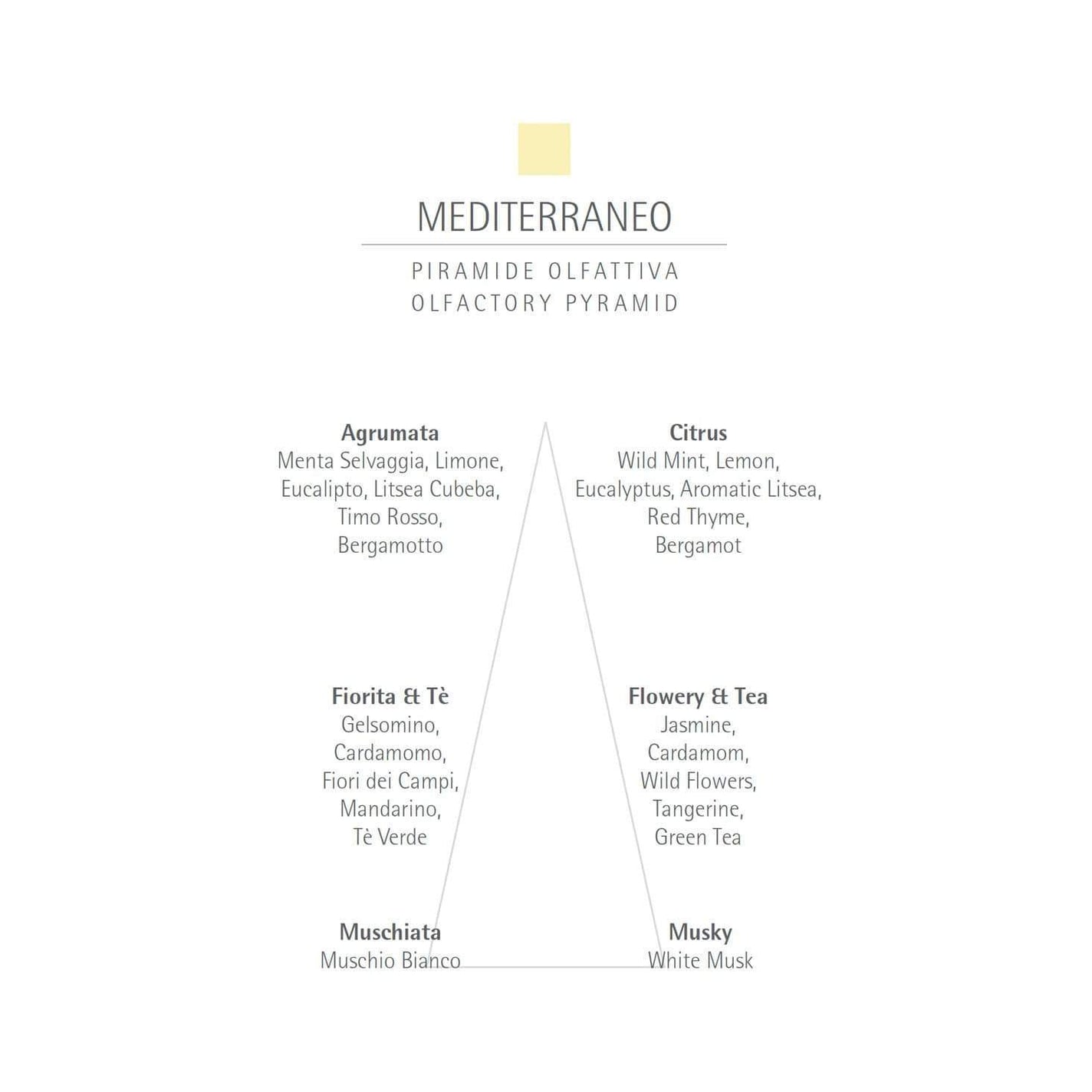 SALE - CARTHUSIA Mediterraneo Diffuser + Reeds - 500ml