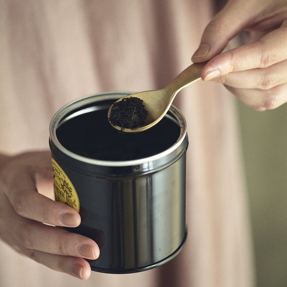Fog Linen Work Brass Tea Caddy Spoon