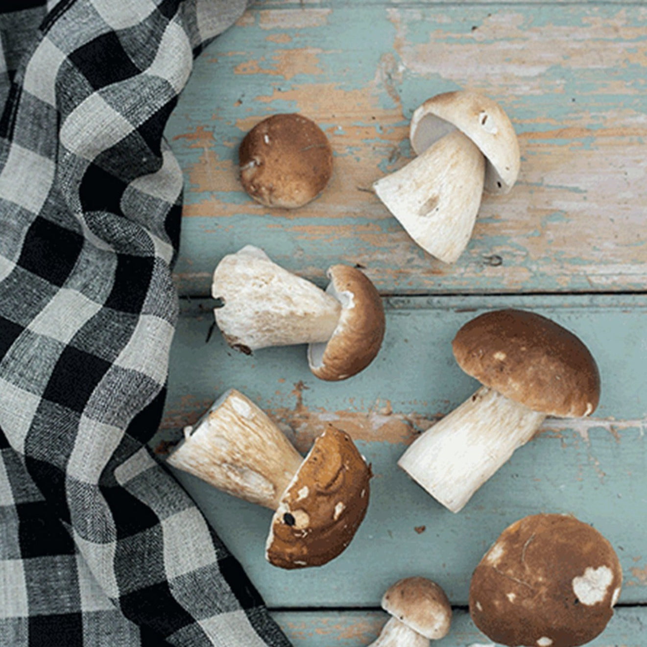 Fog Linen Work Thick Linen Tea Towel: Black Natural Check