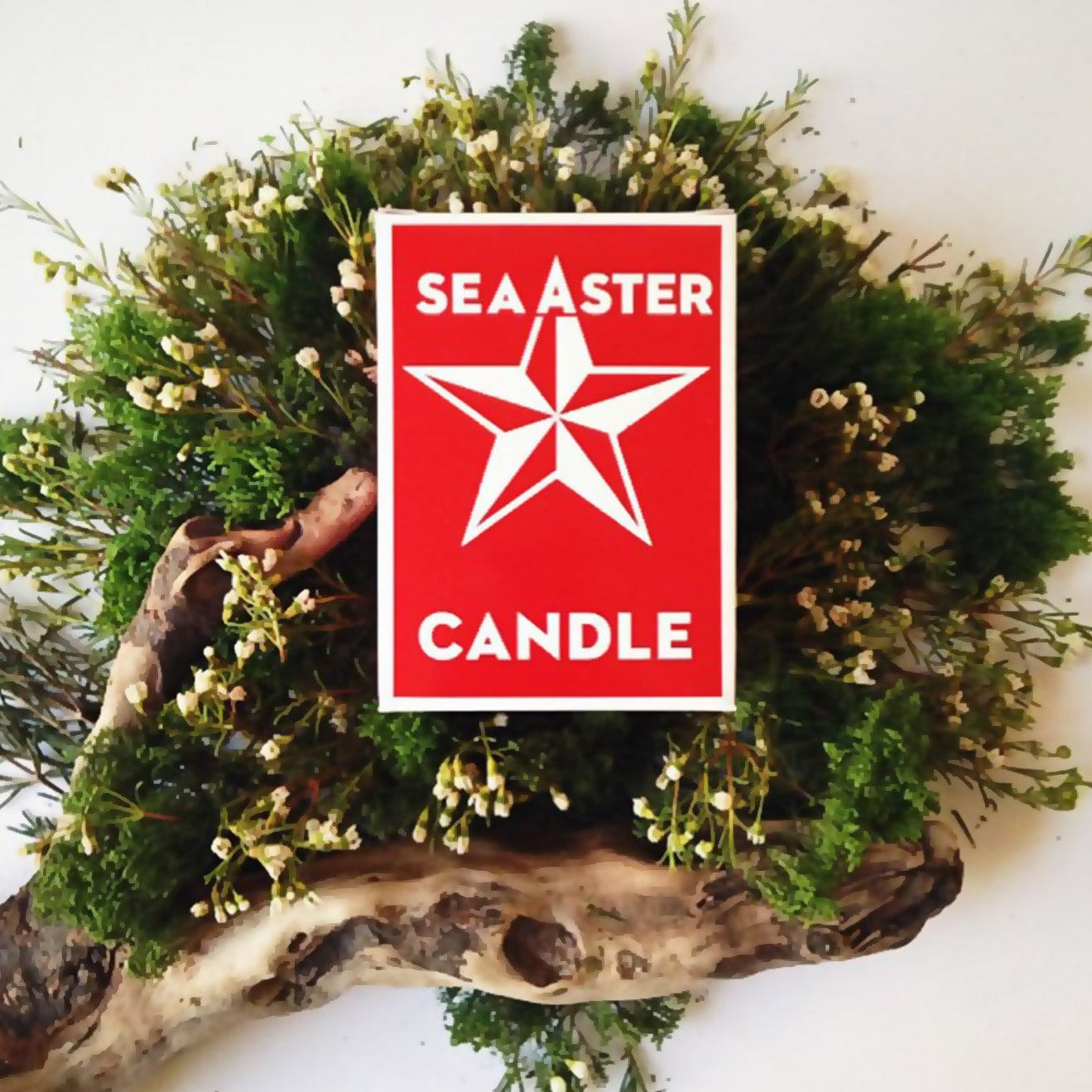 Kalastyle Sea Aster Candle
