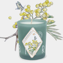 Kerzon Fleur de Mimosa Candle