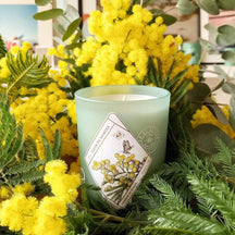 Kerzon Fleur de Mimosa Candle