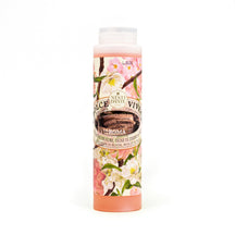 Nesti Dante Rome Shower Gel - 300ml