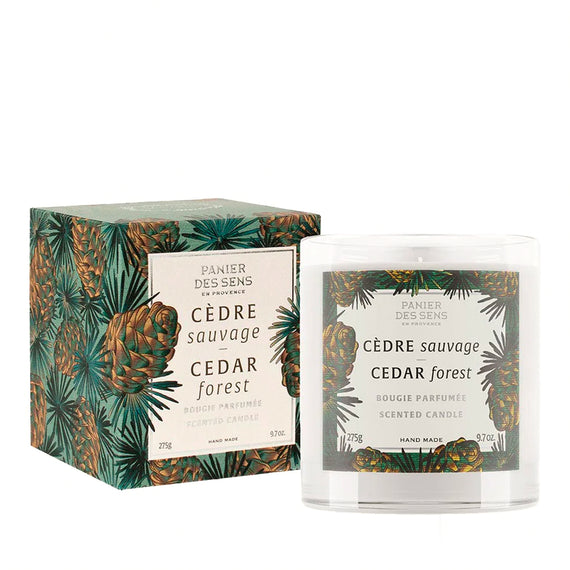 Panier des Sens Cedar Forest Scented Candle