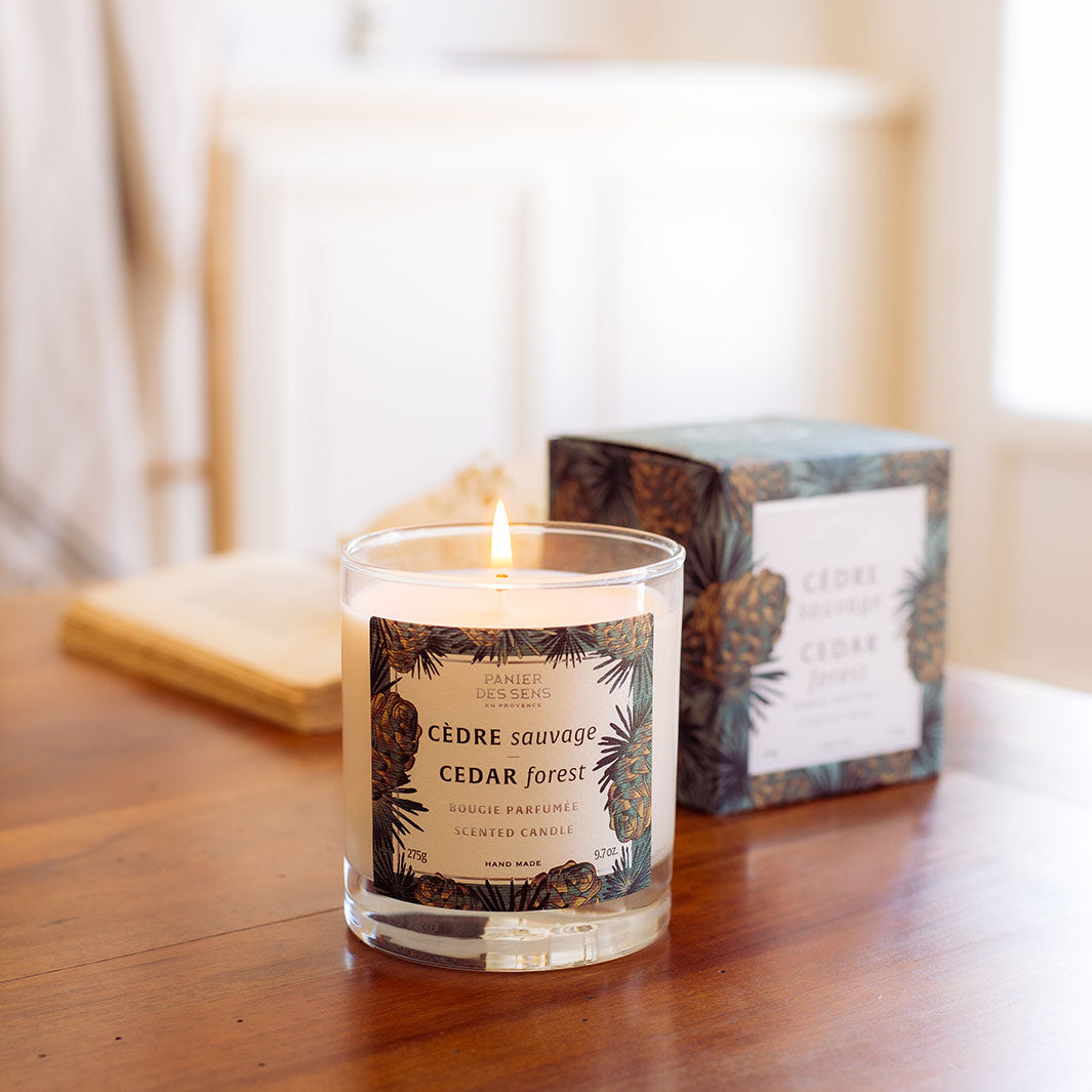 Panier des Sens Cedar Forest Scented Candle
