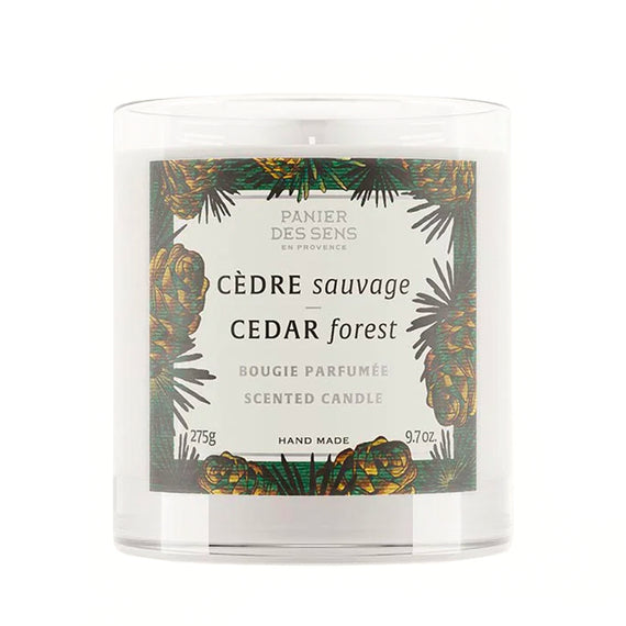 Panier des Sens Cedar Forest Scented Candle