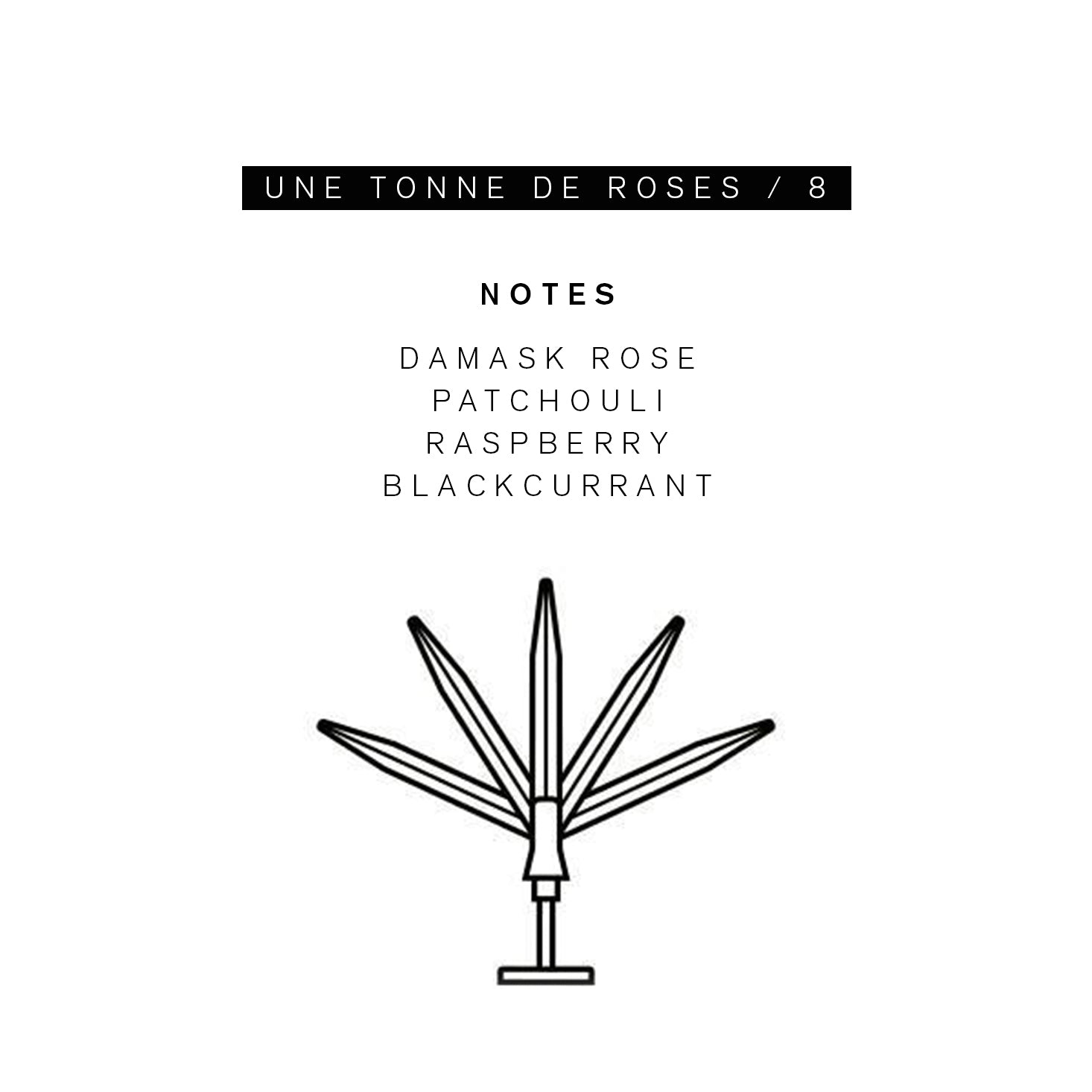 香水(ユニセックス) PARLE MOI DE PARFUM UNE DE ROSES 50ml Parle Moi de Parfum - Une Tonne de Roses / 8 Eau de Parfum
