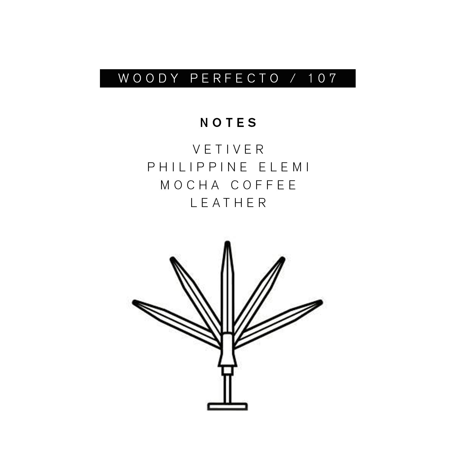 Parle Moi Woody Perfecto / 107 Eau de Parfum - 50ml: Official Stockist