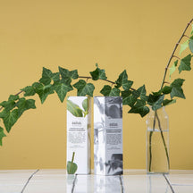 Salus Rosemary + Eucalyptus Room Spray